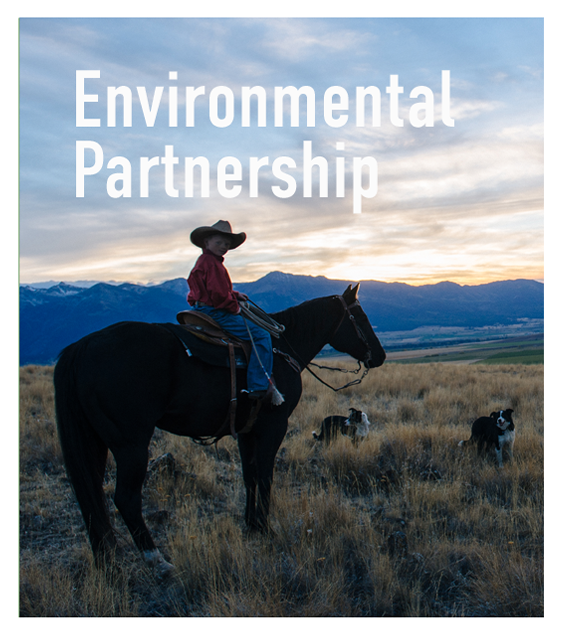 environmental partnership